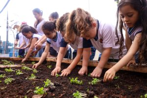 Cmei Zilda Arns realiza segundo plantio de hortaliças com alunos, em Maringá