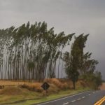 Essas 40 cidades do Paraná estão em alerta de tempestade; veja a lista completa