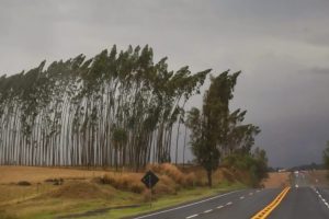 Essas 40 cidades do Paraná estão em alerta de tempestade; veja a lista completa