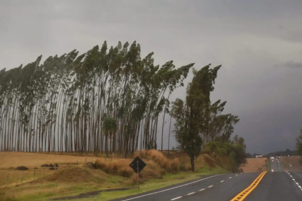 Essas 40 cidades do Paraná estão em alerta de tempestade; veja a lista completa