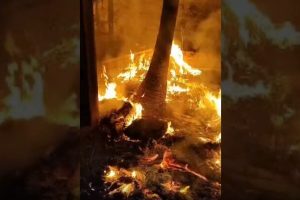 Incêndio atinge terreno na Avenida Alziro Zarur em Maringá e assusta moradores