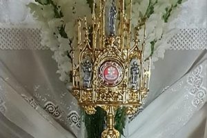 Missa em Maringá celebra a canonização de Carlo Acutis com exposição de relíquia