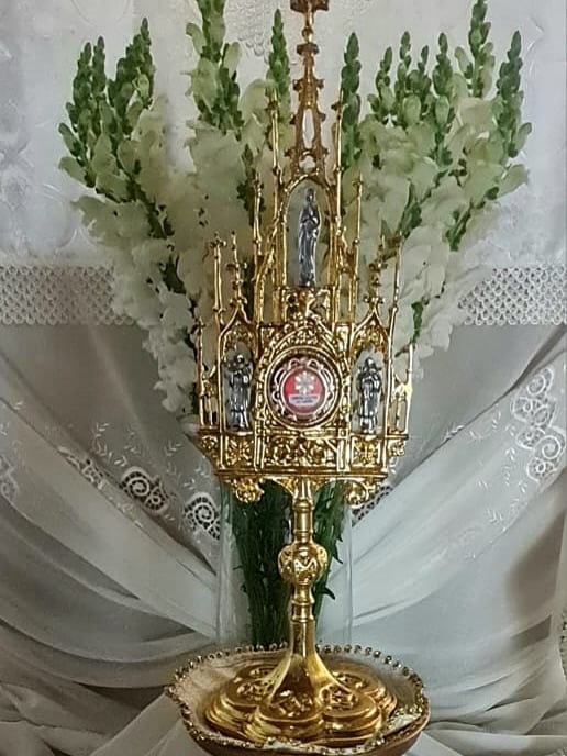 Missa em Maringá celebra a canonização de Carlo Acutis com exposição de relíquia