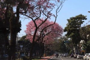 Veja como fica o tempo nesta quarta-feira, 10, em Maringá e no Paraná