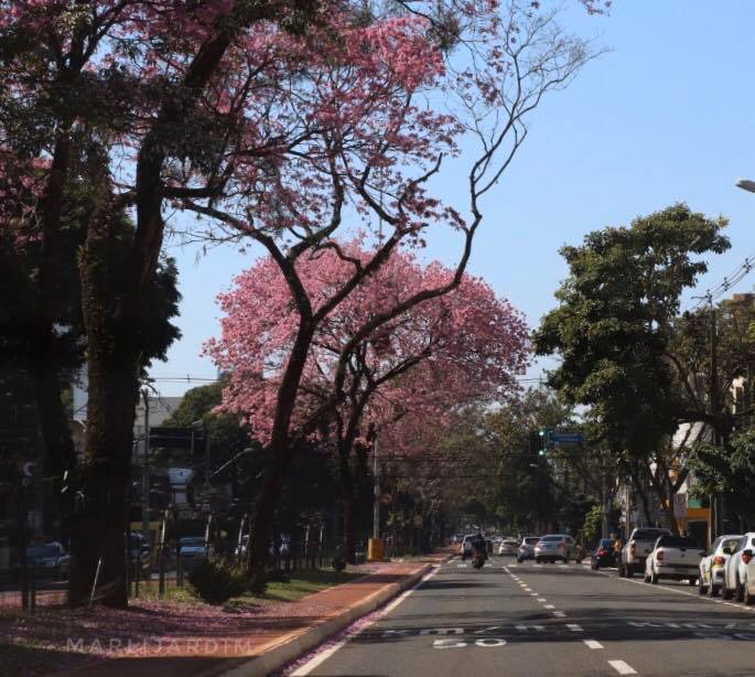 Veja como fica o tempo nesta quarta-feira, 10, em Maringá e no Paraná