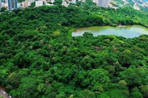 Vias do entorno do Parque do Ingá e na Zona Industrial terão interdições para realização de corrida neste sábado, 6, em Maringá