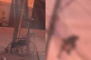 Vídeo de suposto cadeirante furtando fiação em poste chama atenção em Maringá