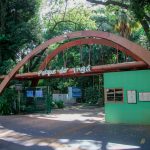 Com observação da fauna noturna, ‘Noite das Mariposas’ ocorre no Parque do Ingá no sábado (25)