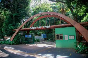 Com observação da fauna noturna, ‘Noite das Mariposas’ ocorre no Parque do Ingá no sábado (25)