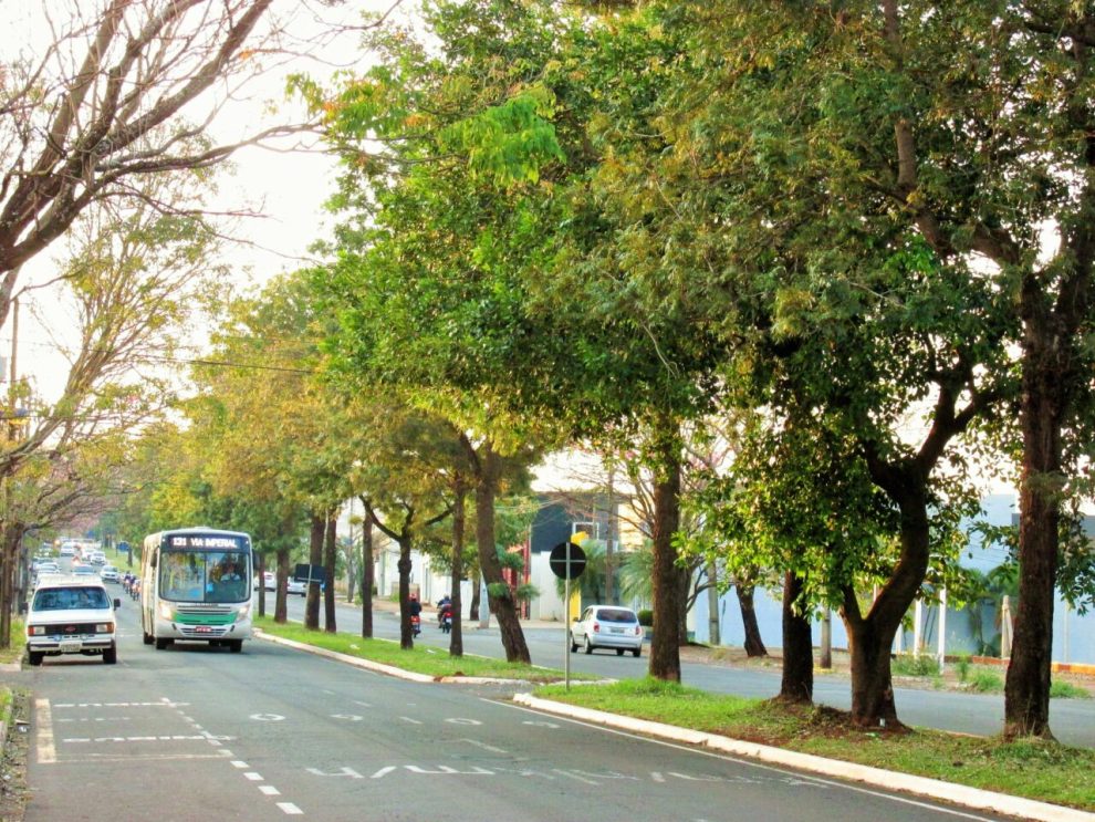 Domingo, 5, será de calor e tempo seco em Maringá e no Paraná