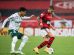 Flamengo e Palmeiras disputam liderança do Brasileirão neste domingo (19)