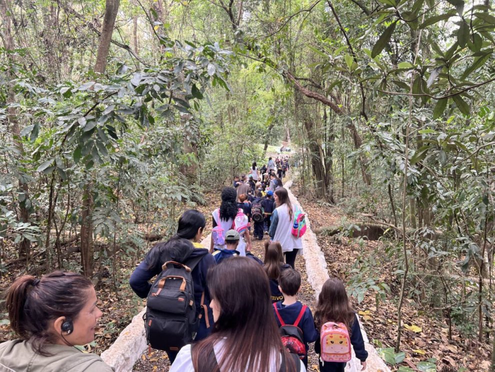 Parque do Ingá oferece trilhas guiadas gratuitas e programação especial em outubro